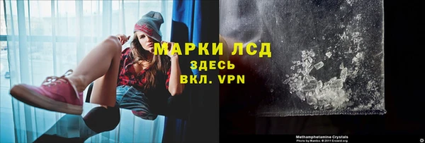 spice Касимов